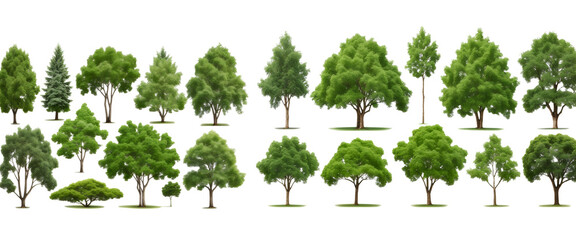 Set of green trees isolated on transparent background