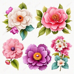 Set of differents flowers decoration on white background 