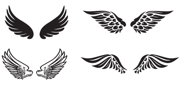 set of angle wings, Frame wings vector set, angle wing set