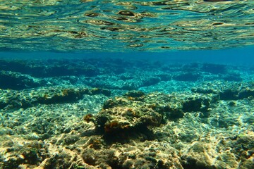 Underwater landscape with blue ocean and stones. Rocky seabed, underwater photography from snorkeling. Seascape with the blue water and calm surface. Water surface reflections.
