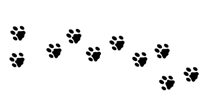 Lynx  paws. Animal paw prints, vector illustration different forest animals footprints black on white illustration for different design uses. 