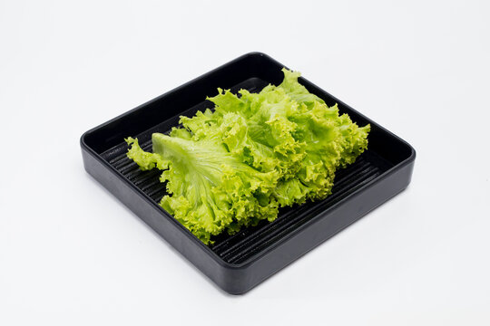 Vegetable Salad Buffet Salad vegetables for buffet meals Vegetables for cooking Pictures for menu design