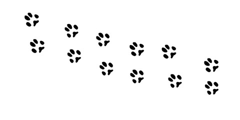 Rabbit paws. Animal paw prints, vector illustration different forest animals footprints black on white illustration for different design uses.  - obrazy, fototapety, plakaty