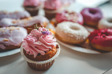 Vanilla cupcakes with cream cheese frosting and pink sprinkles on pink background. Saint Valentine's day or birthday dessert