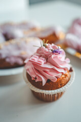 Vanilla cupcakes with cream cheese frosting and pink sprinkles on pink background. Saint Valentine's day or birthday dessert