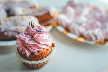 Vanilla cupcakes with cream cheese frosting and pink sprinkles on pink background. Saint Valentine's day or birthday dessert