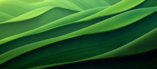 green texture, Abstract organic green lines as wallpaper background