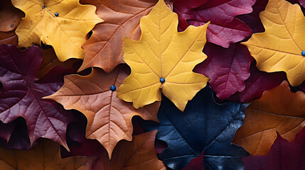 autumn leaves background, red and yellow leaves