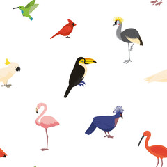 vector drawing seamless pattern with tropical birds, hand drawn natural background