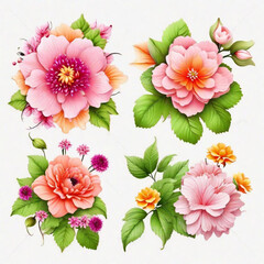 Set of differents flowers decoration on white background 
