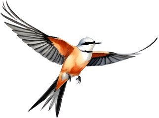 Obraz premium Watercolor paintings of colorful Scissor-tailed flycatcher birds. 