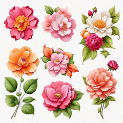 Obraz premium Set of differents flowers decoration on white background 