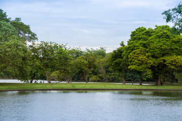 Beautiful park with lake