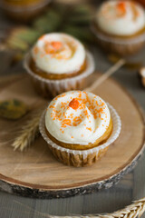 Autumn pumpkin cupcakes with orange sprinkles on top on natural wooden background with real pumpkin behind close up selective focus
