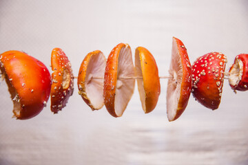 Macro photography with shallow depth of field. Selective focusing on the central subject. Fly agaric mushrooms are dried on a rope.