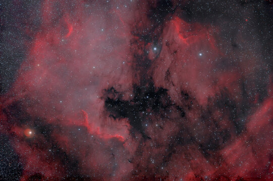 Photograph of real space through a telescope. Foggy objects. Lots of small stars all over the frame. Nebula.ngc 7000 and ic 5070.