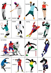 Fototapeta na wymiar Some kinds of sports. Collection. Colored vector illustration
