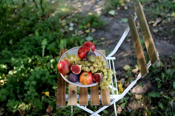 relaxing picnic in the garden - summer time 