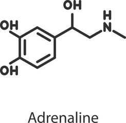 Adrenaline hormone. Line with editable stroke © Matsabe