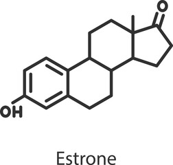 Estrone hormone. Line with editable stroke