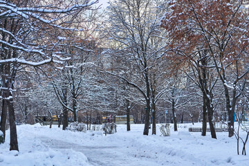Evening walking paths cleared of snow in a winter city park
