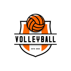 volleyball logo with shield background