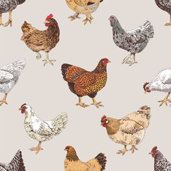 Seamless pattern with hand drawn chickens
