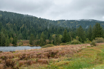 Fototapeta premium Paysage des Vosges