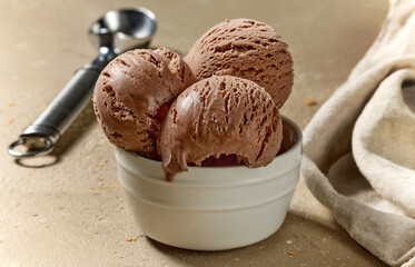 bowl of chocolate ice cream