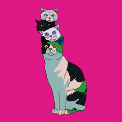 猫タワー（cat tower）