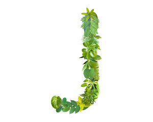 J shape made of various kinds of leaves isolated on transparent background, go green concept, PNG