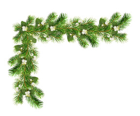 Green Christmas pine twigs and snowberries in a festive corner arrangement isolated on white or transparent background