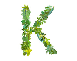 Obraz premium K shape made of various kinds of leaves isolated on transparent background, go green concept, PNG