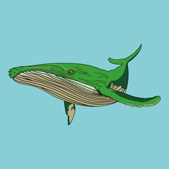 クジラ（whale）