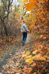 Woman walking in autumn forest among yellow and red leaves. Warm October weather, walk in the fresh air.