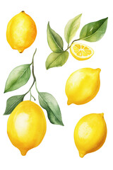 lemon watercolor clipart cute isolated on white background - obrazy, fototapety, plakaty