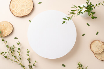 Nature tenderness concept. Top view photo of empty circle surrounded by branches of eucalyptus and round wooden stands on isolated pastel background with copy-space