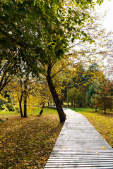 Fototapeta na wymiar Plank wooden walking path among fallen leaves in an autumn park