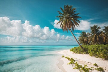 Beautiful tropical beach with white sand, turquoise ocean on background blue sky with clouds on sunny summer day. Palm tree leaned over water. Generative Ai.