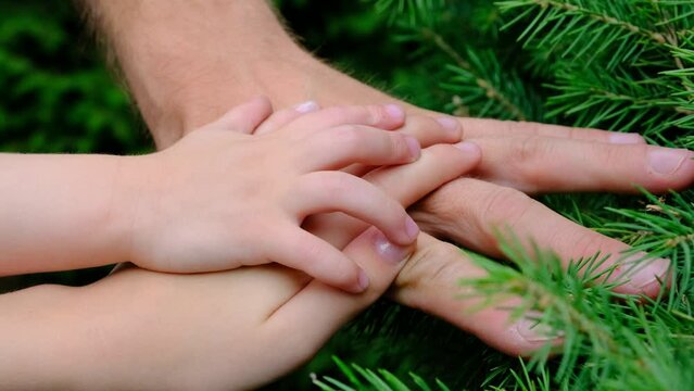 Family concept. Close-up of hands clasped together.