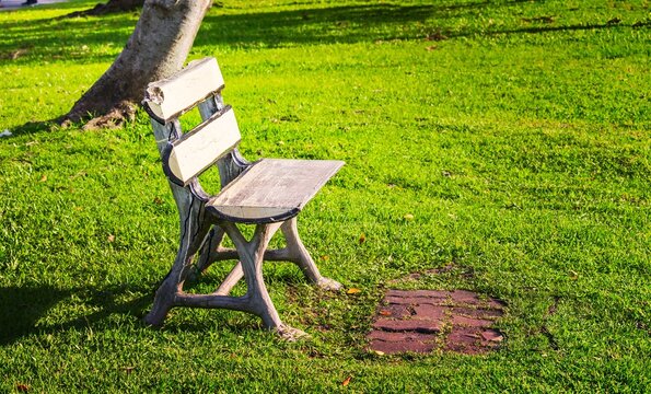 Chair With No People Sitting On A Lawn In A Park. A Place For Exercise And Relaxation.