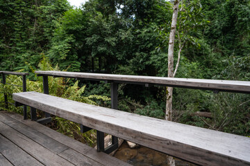 Wooden walkway with green nature
