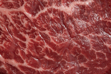Filet mignon steak