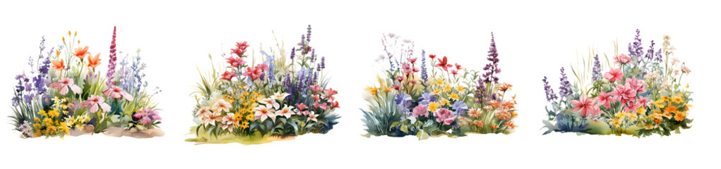 Obraz na płótnie Canvas Watercolor flowers isolated on transparent PNG background