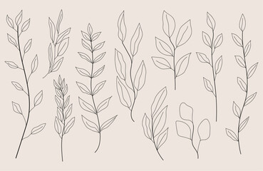 "A collection of trendy greenery hand-drawn black ink sketches, featuring a set of tiny wild flowers and plants, is available as vector botanical illustrations. 