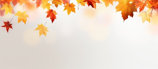 Naklejka na ściany i meble Autumn leaves falling in the background