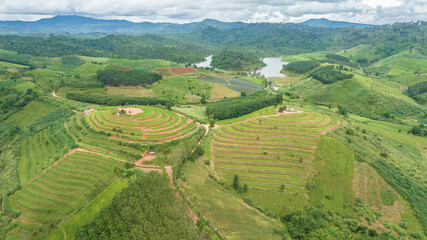 Rice terraces on the mountain, Ban Nam Chuang, Thailand