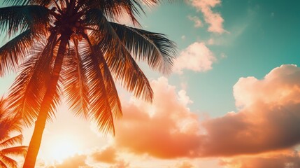 Silhouette of palm tree at sunset on abstract sunset sky and cloud background Summer vacation and nature travel concept Vintage tone filter effect