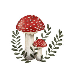 Beautiful illustration of an inedible fly agaric mushroom with a red cap and a white dot on a transparent neutral background