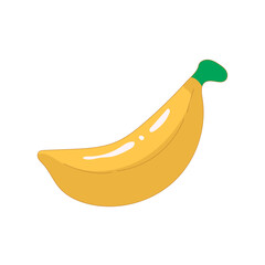 beach equipment in summer vector cartoon